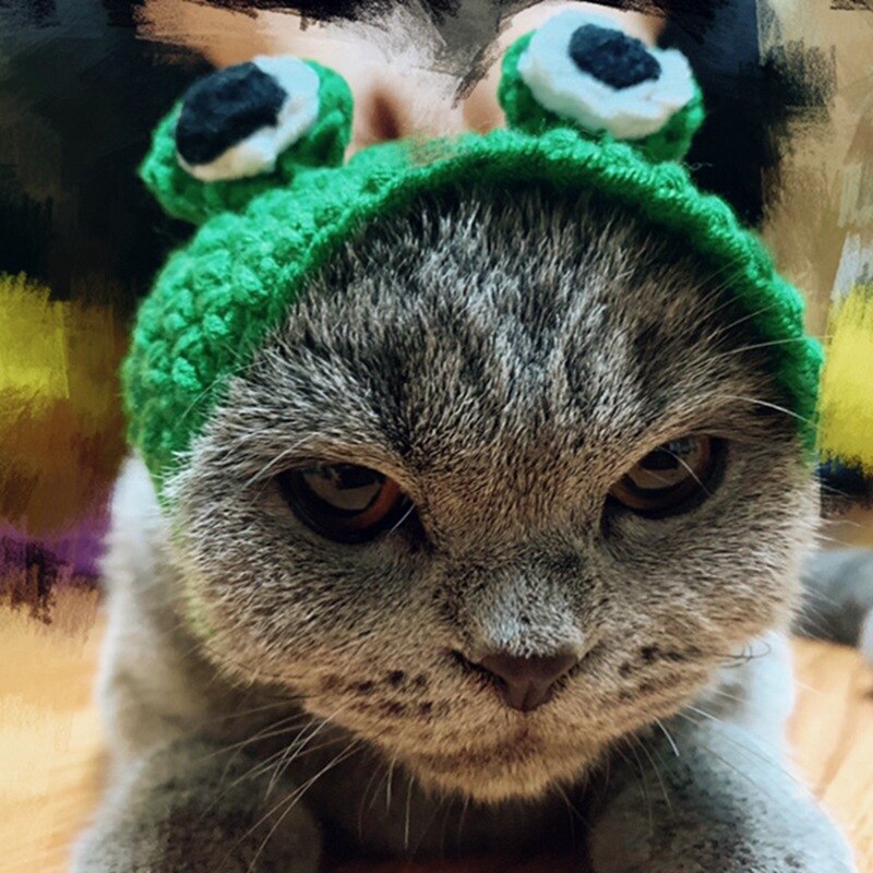 Handmade Frog Pet Hat for Cats & Dogs