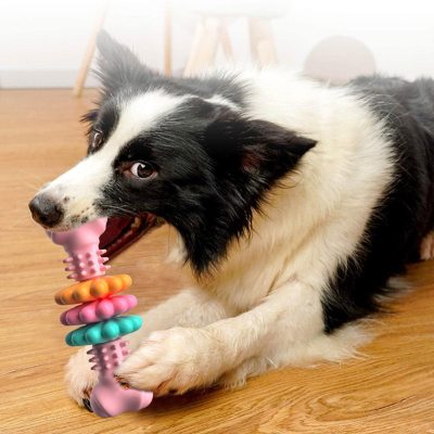 Dog Bone Chew Toy for Teeth Cleaning & Anxiety Relief