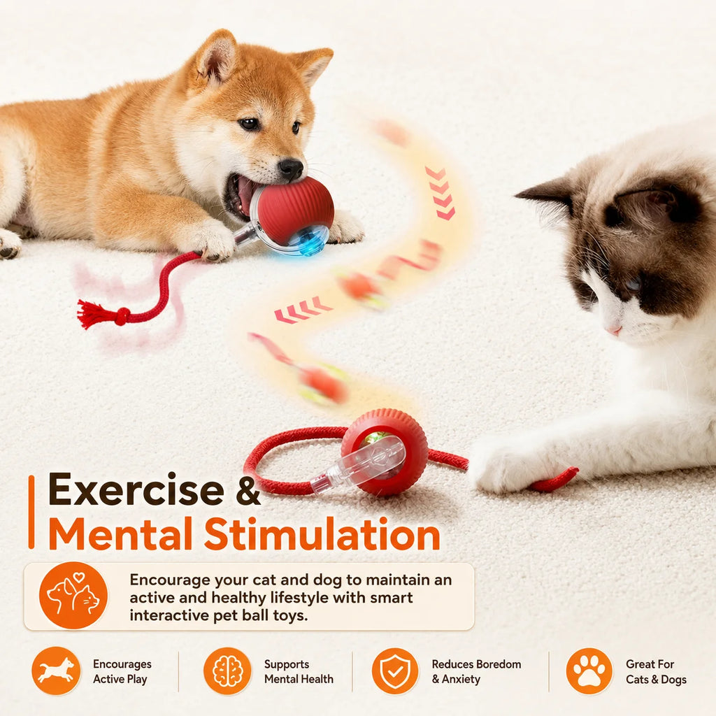 Smart Auto-Rolling Dog Ball Toy
