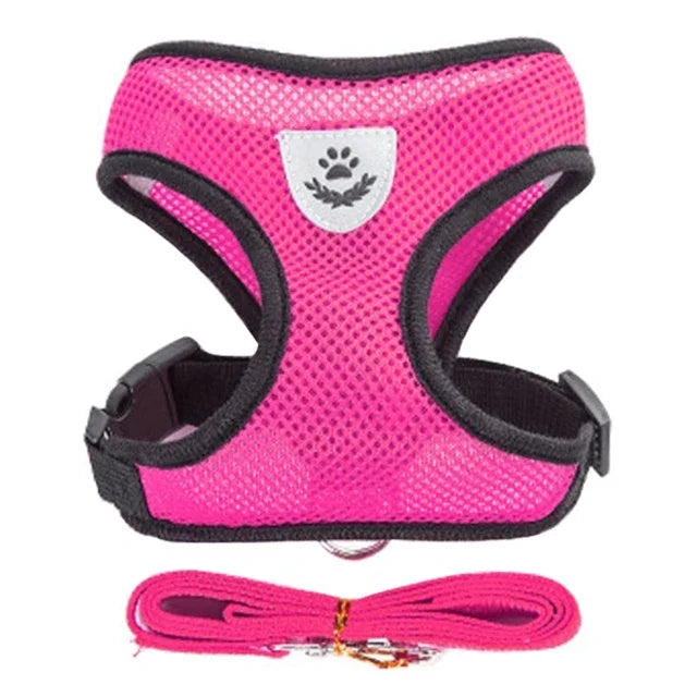 Adjustable Mesh Pet Harness & Leash Set