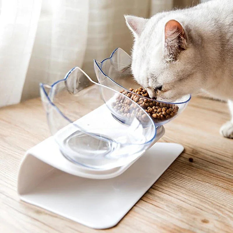 Non-Slip Elevated Double Pet Bowl