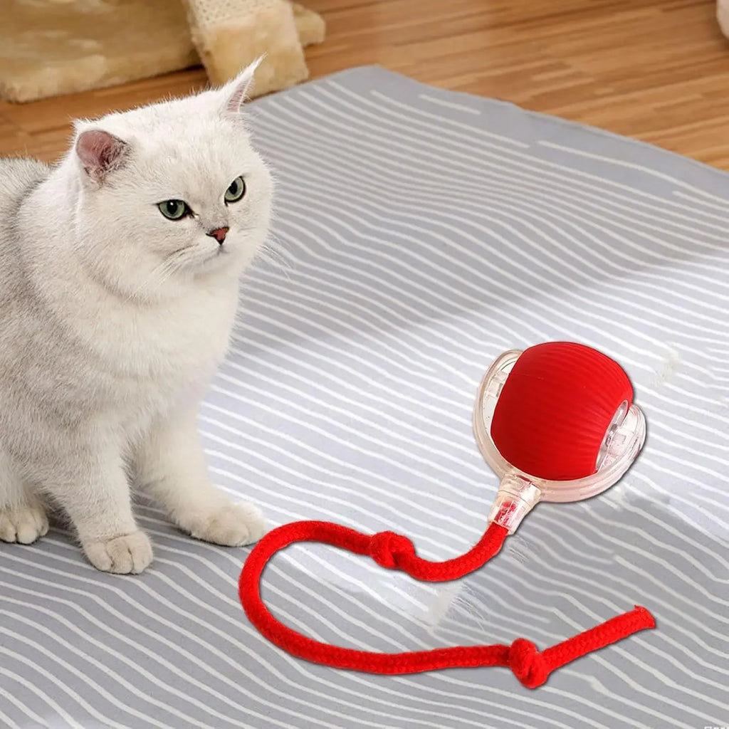 Automatic Rolling Ball Cat & Dog Toy