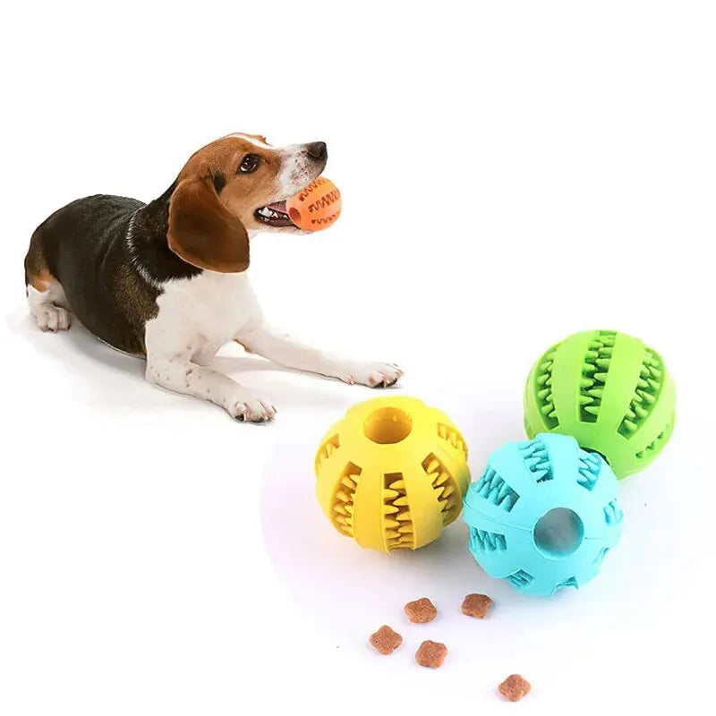 Treat Feeder Dog Chew Ball