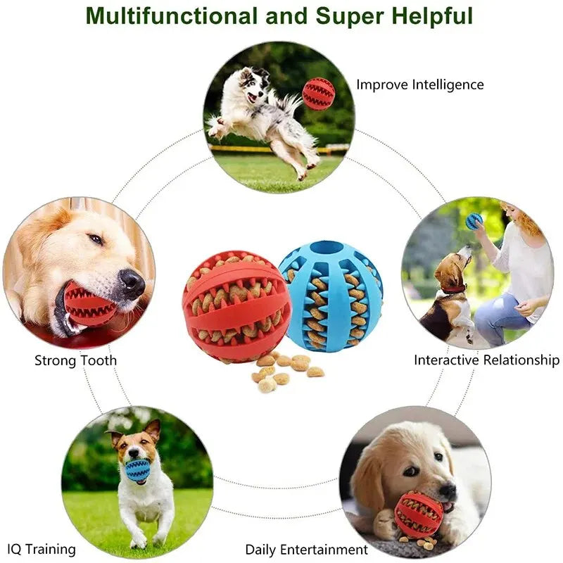 Treat Feeder Dog Chew Ball