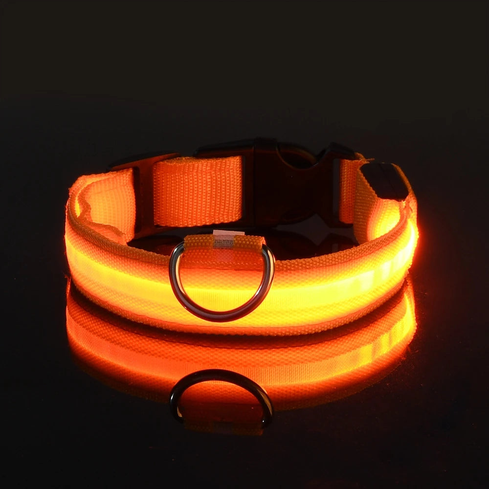LED Glow-in-the-Dark Dog Leash
