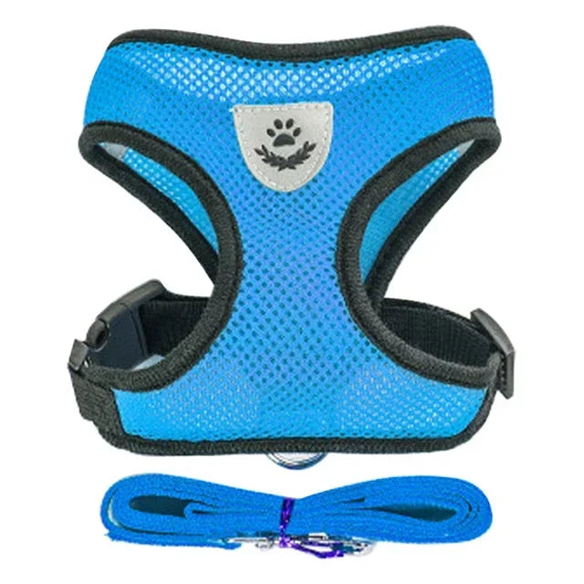 Adjustable Mesh Pet Harness & Leash Set