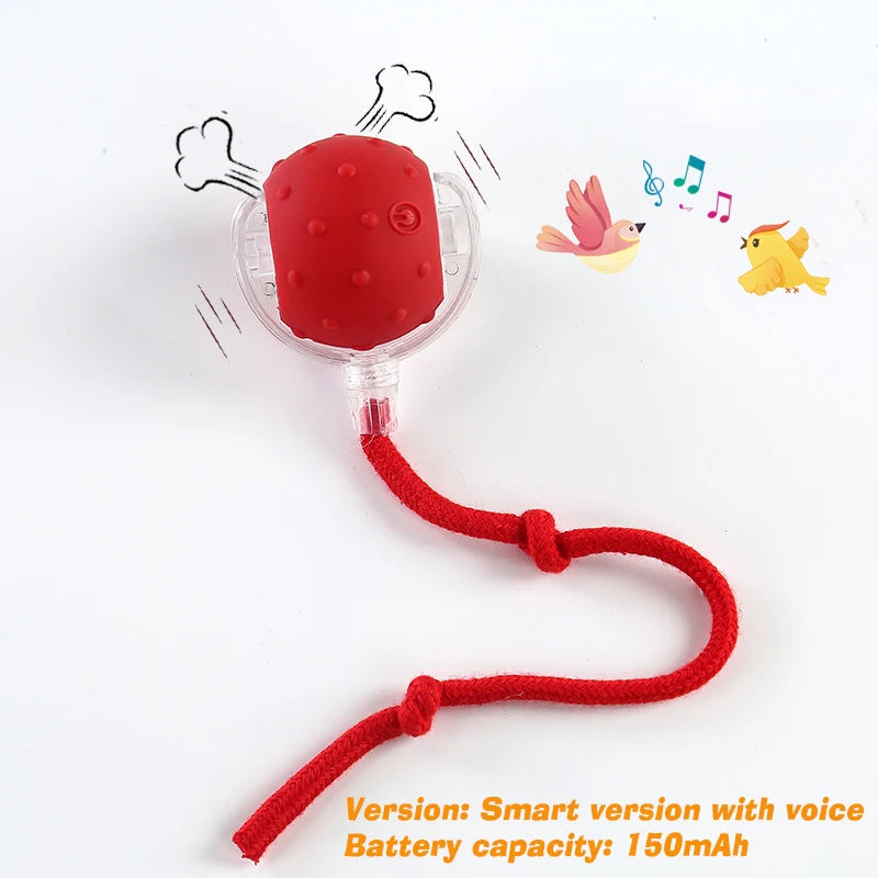 Smart Auto-Rolling Dog Ball Toy