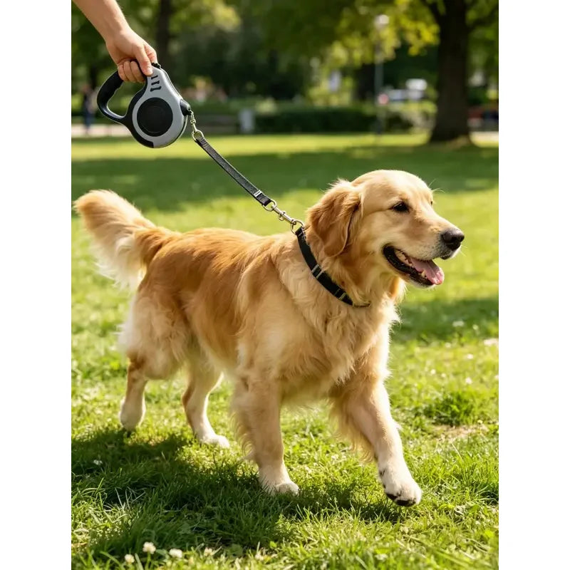 Automatic Retractable Pet Leash