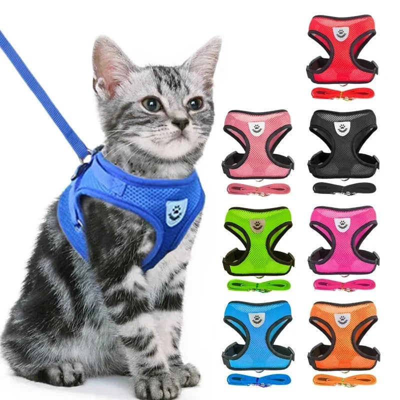 Adjustable Mesh Pet Harness & Leash Set
