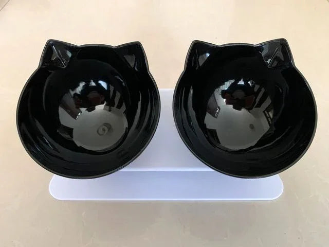 Non-Slip Elevated Double Pet Bowl