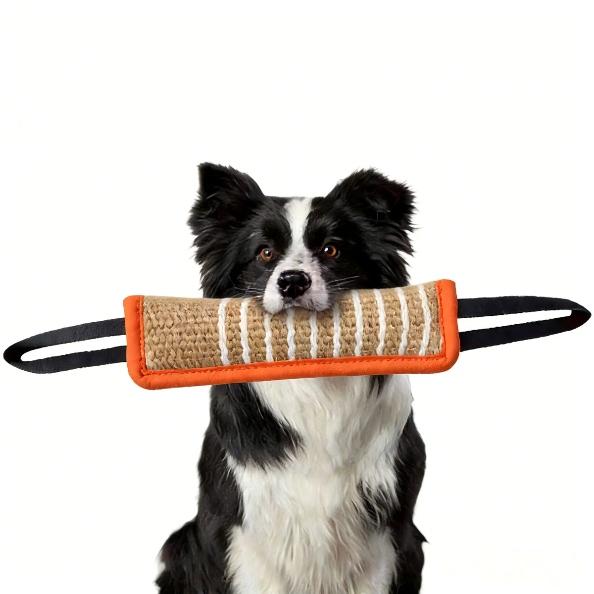 Dog Bite Training Stick