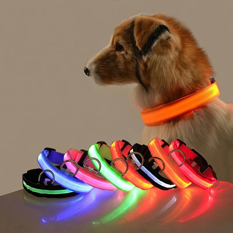 LED Glow-in-the-Dark Dog Leash