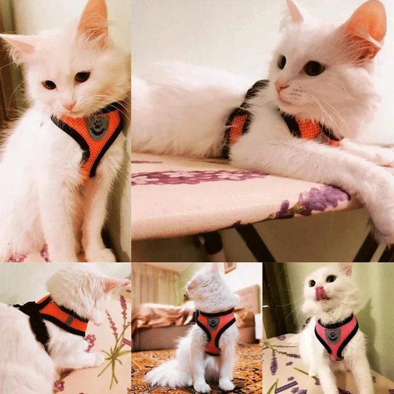 Adjustable Mesh Pet Harness & Leash Set