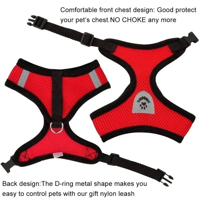 Adjustable Mesh Pet Harness & Leash Set
