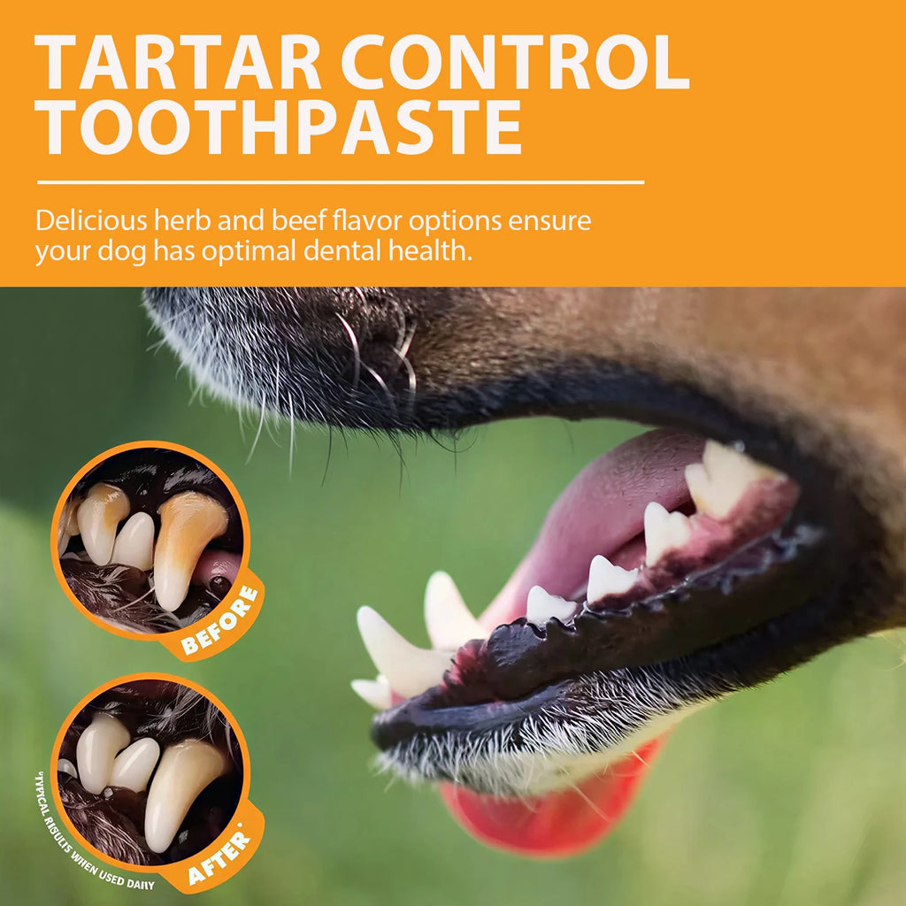 Pet Dental Care Kit