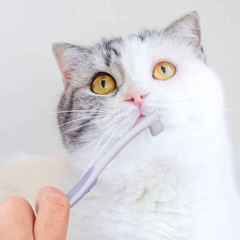 Soft Bristle Dog Toothbrush