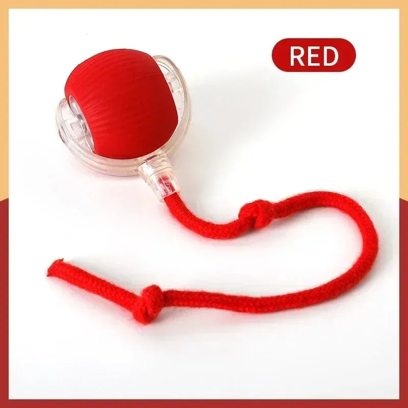 Automatic Rolling Ball Cat & Dog Toy