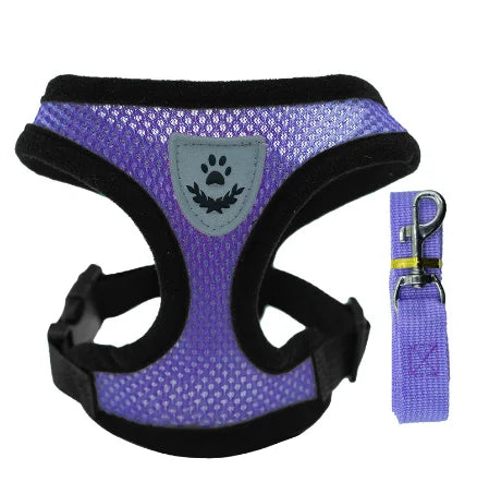 Adjustable Mesh Pet Harness & Leash Set