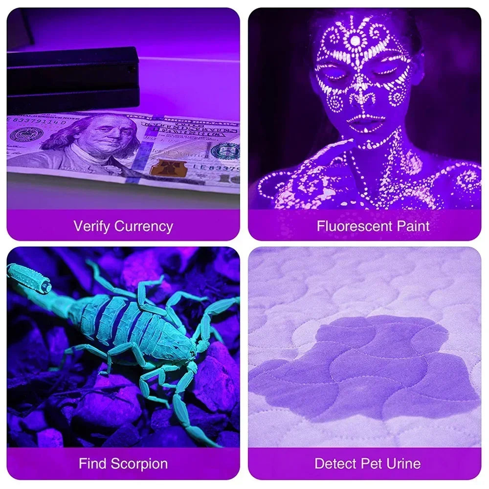 UV Blacklight Pet Stain Detector