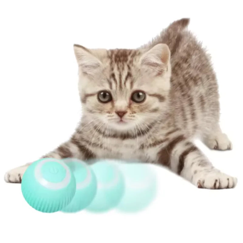 Smart USB Rechargeable Moving Pet Ball