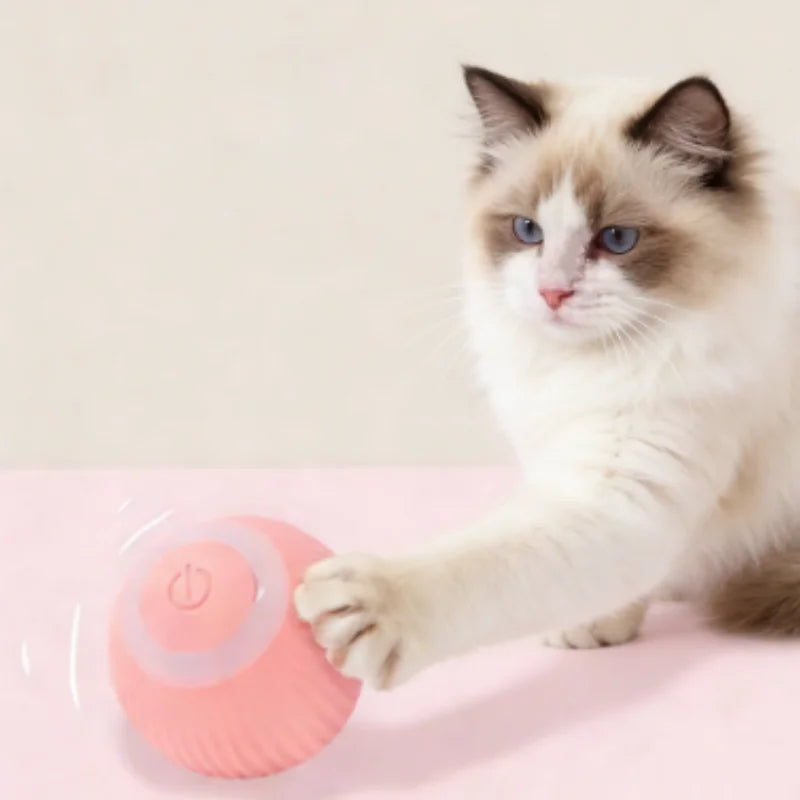 Smart USB Rechargeable Moving Pet Ball