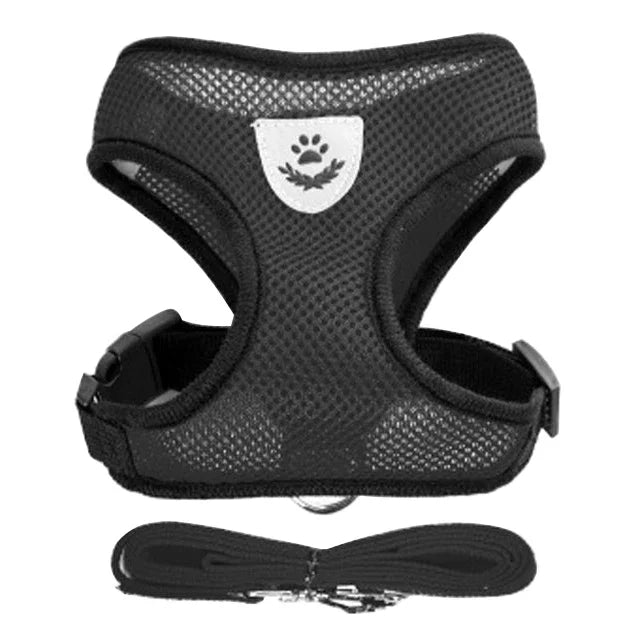Adjustable Mesh Pet Harness & Leash Set