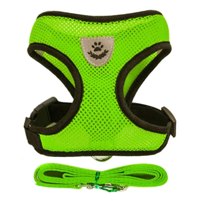 Adjustable Mesh Pet Harness & Leash Set
