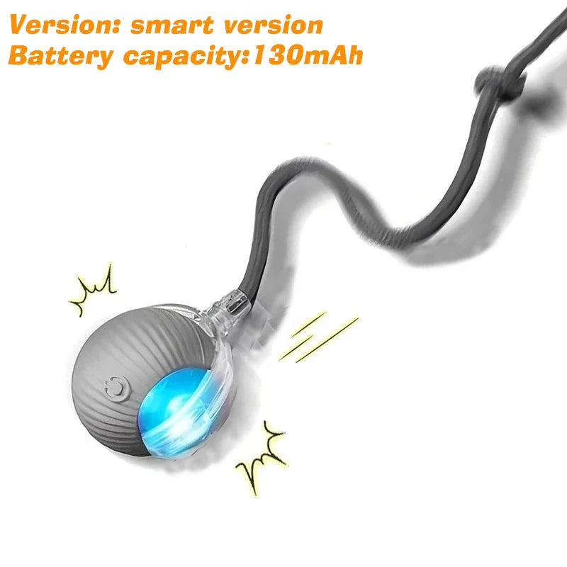 Smart Auto-Rolling Dog Ball Toy