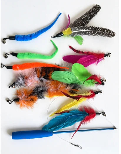 Replacement Cat Feather Wand Tips (11pcs)
