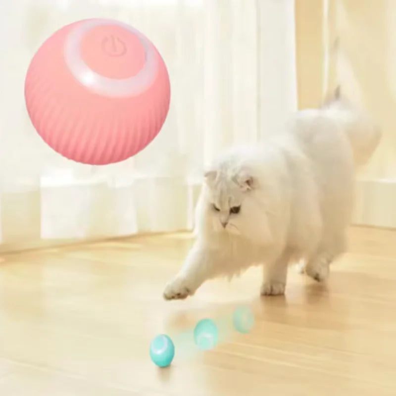 Smart USB Rechargeable Moving Pet Ball